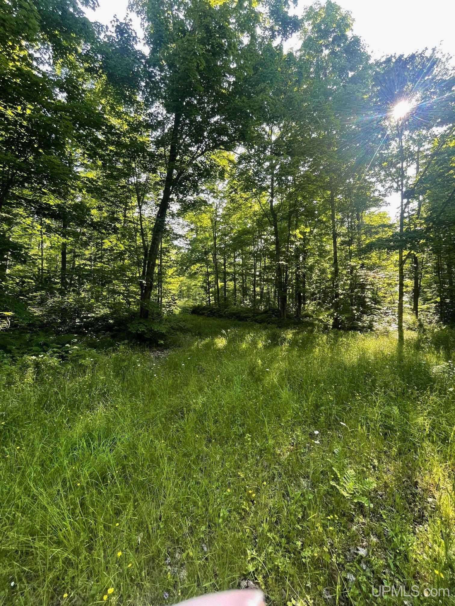 Tbd A Off Gay Road Lake Linden, MI 49945 - Photo 12 of 15
