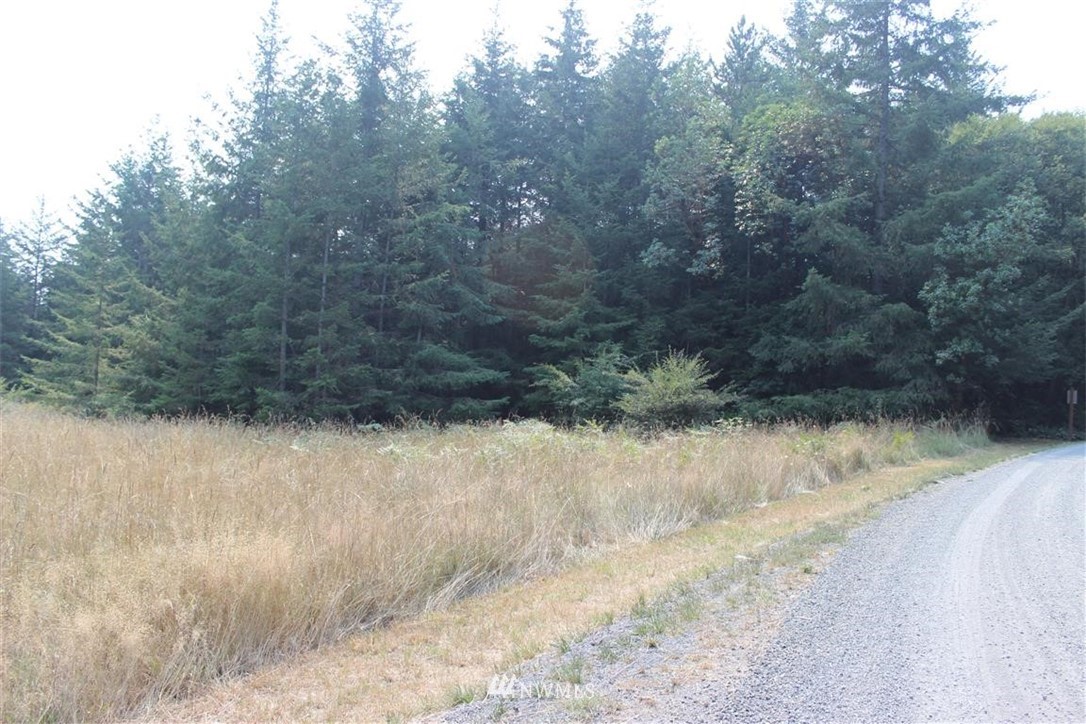 9 Ridgedale Road San Juan Island, WA 98250 - Photo 10 of 14 Gallery Image 10