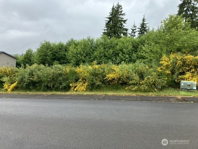 3261 Sanderling Drive Hoquiam, WA 98550 - Photo 1 of 6 a view of a garden with an outdoor space