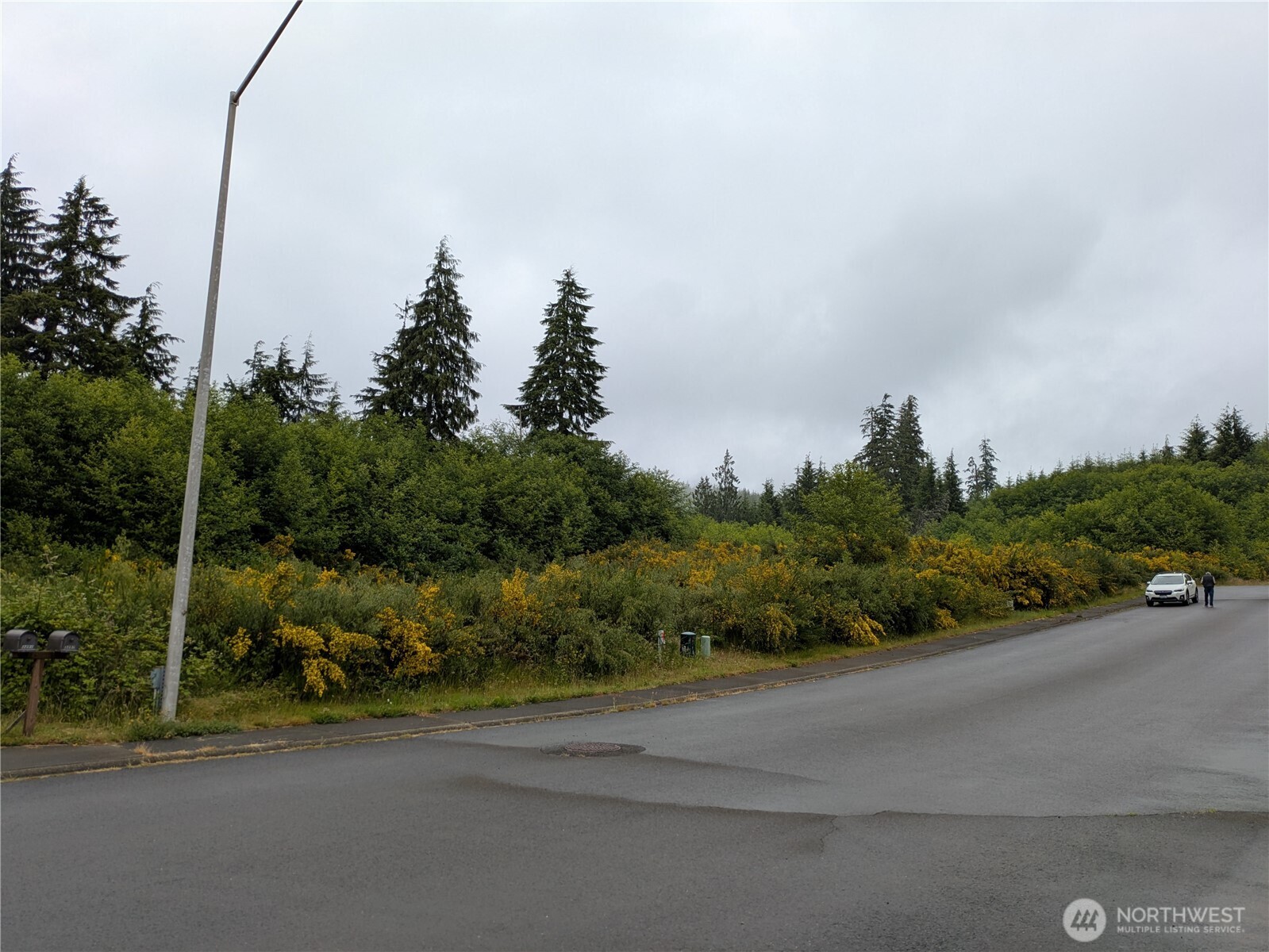3261 Sanderling Drive Hoquiam, WA 98550 - Photo 5 of 6 a view of a street