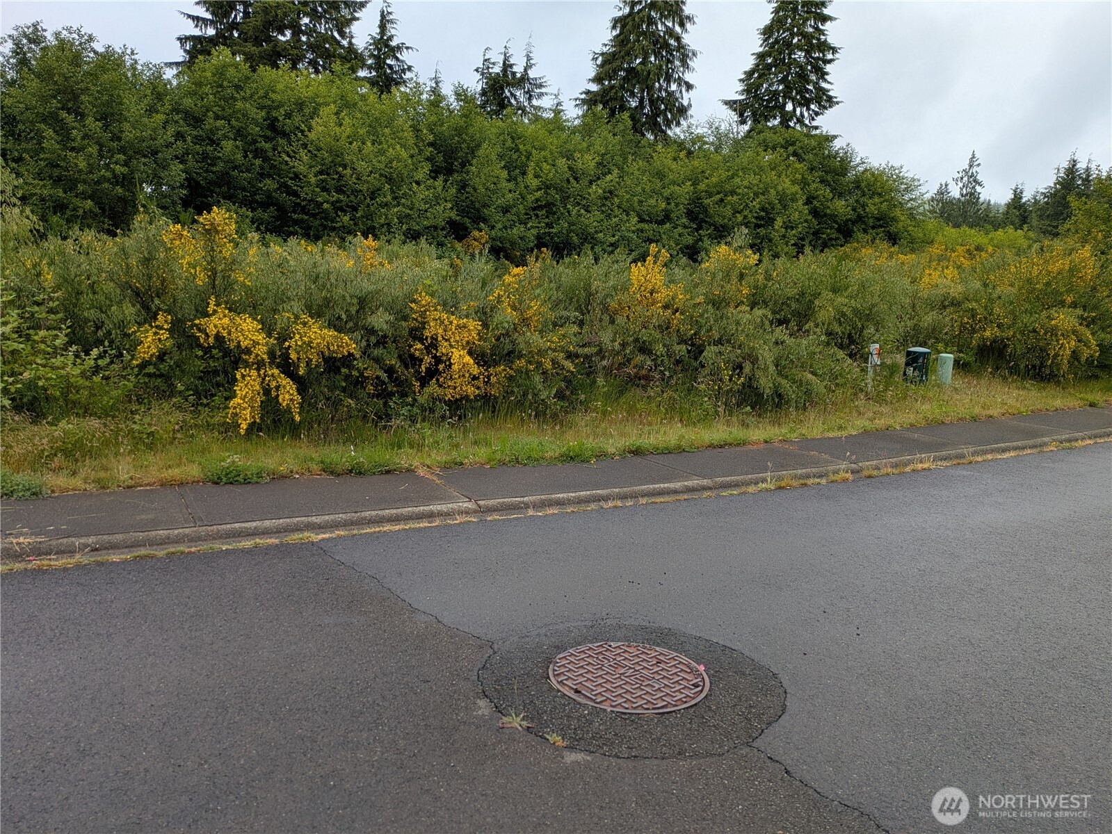 3261 Sanderling Drive Hoquiam, WA 98550 - Photo 6 of 6 a view of a street