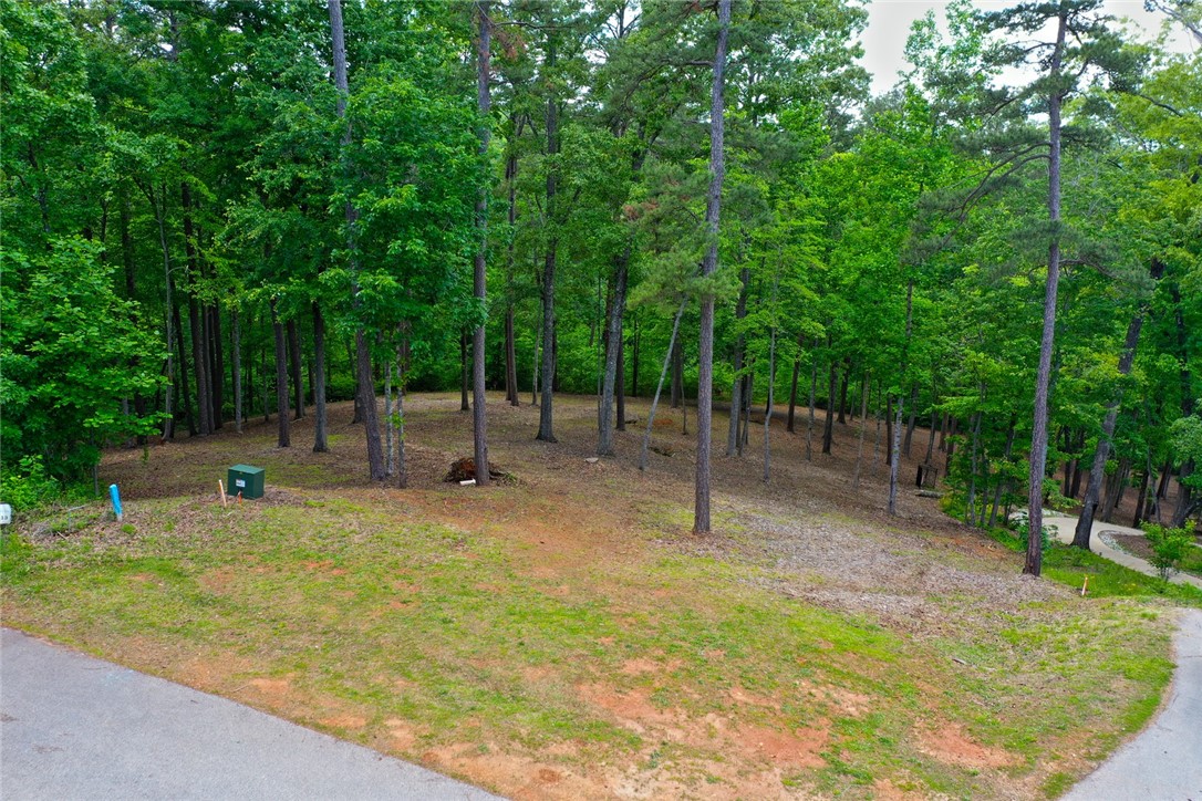 Lot 114 Harbor Point Seneca, SC 29672 - Photo 46 of 46 This verdant lot offers a serene retreat with mature trees and a tranquil natural setting.