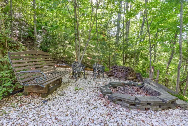 a view of a backyard with plants and outdoor seating