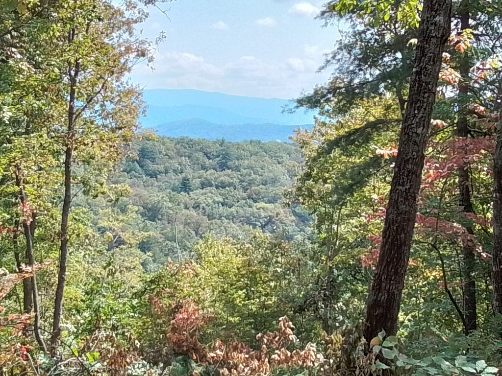 End Of Tanglewood Ridge Murphy, NC 28906 - Photo 2 of 38
