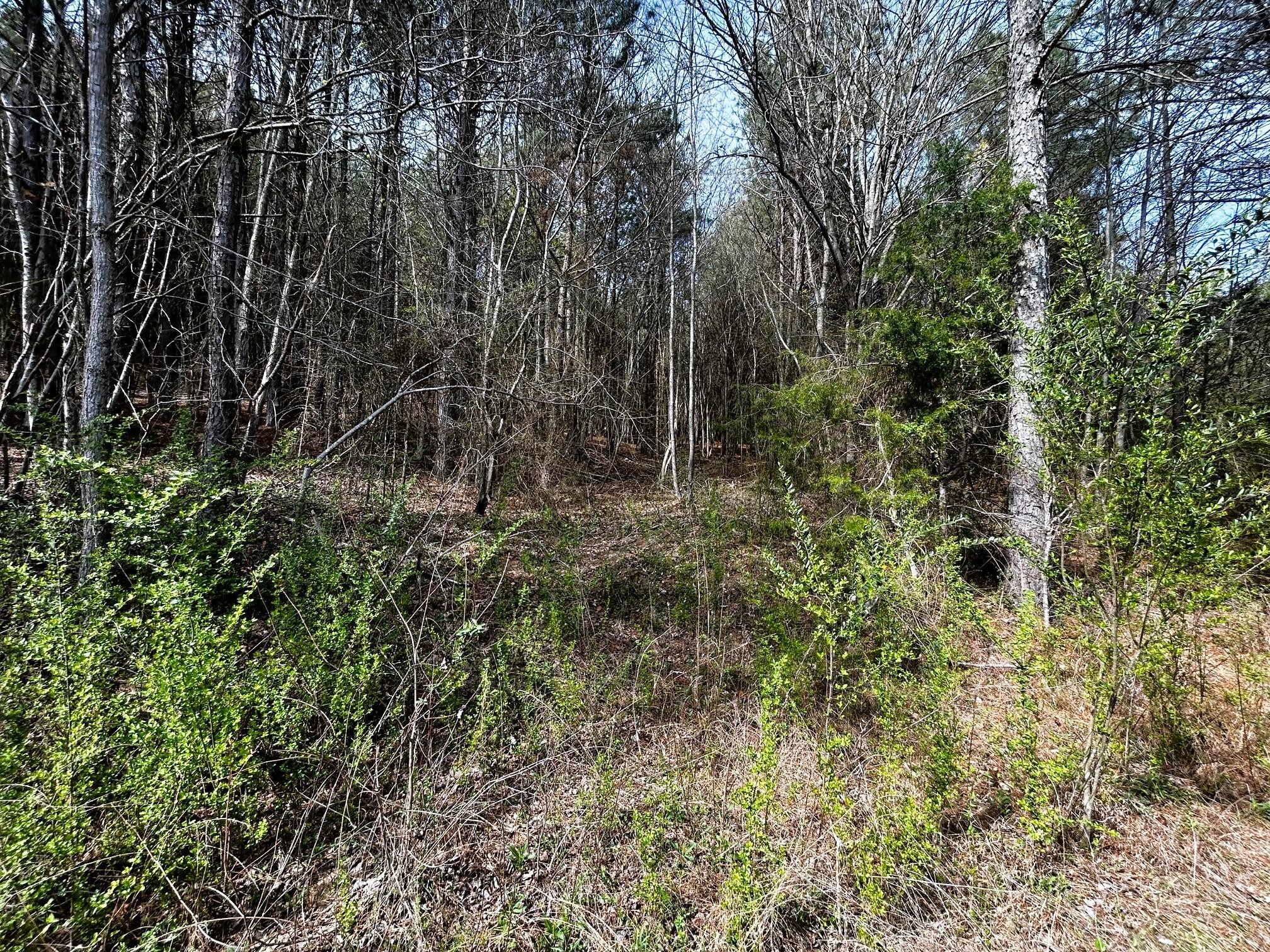 7 Southwest Owl Hollow Road McDonald, TN 37353 - Photo 19 of 32