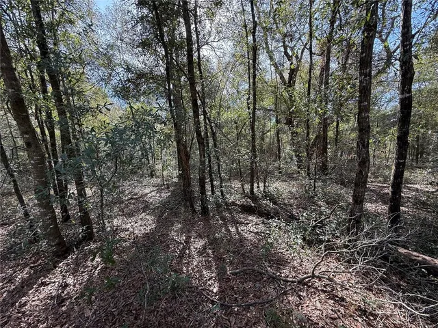 $31,000 | Tbd Northeast 80th Street, Bronson, FL 32621