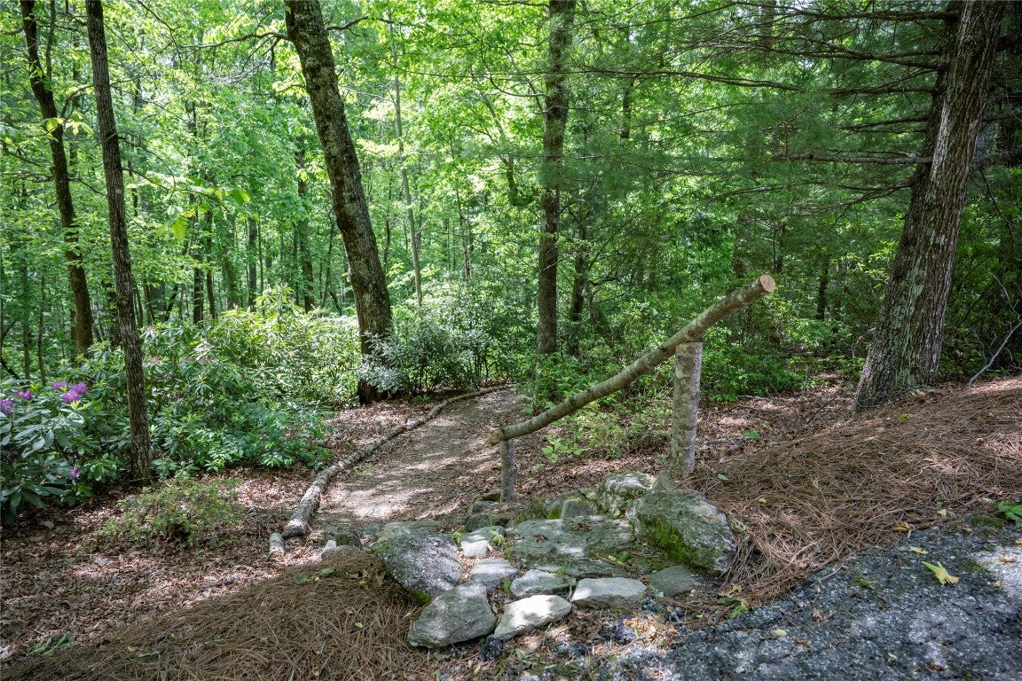 550 Silly Ridge Road Scaly Mountain, NC 28775 - Photo 84 of 100 Gallery Image 84