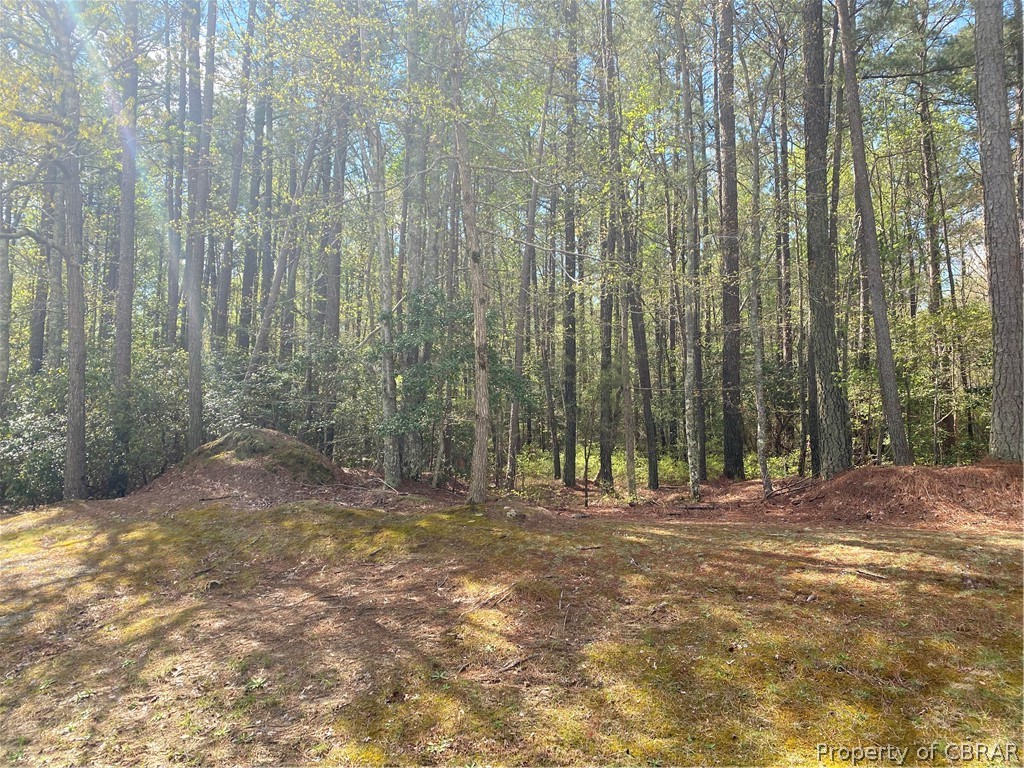85 Eagles Trace Lancaster, VA 22503 - Photo 1 of 13