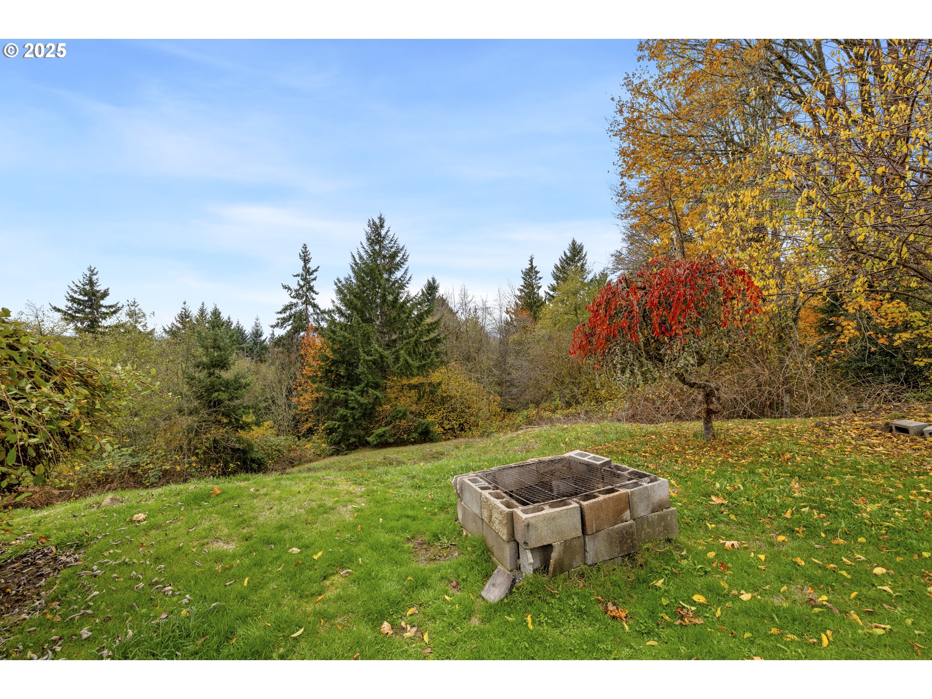 1115 China Garden Road Kalama, WA 98625 - Photo 7 of 40 a view of a backyard with mountain view