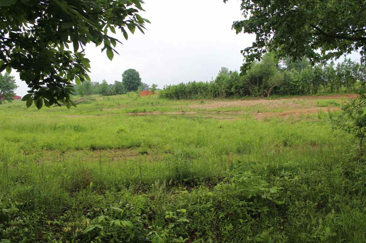 Lot 2 Winston Road Oakland, KY 42159 - Photo 6 of 6 Gallery Image 6