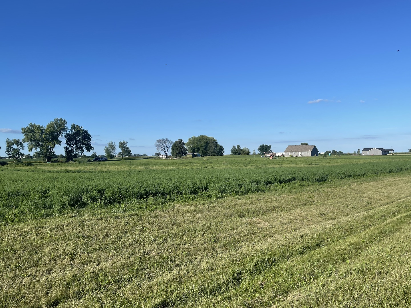 4096 East 1769th Road Leland, IL 60531 - Photo 2 of 4 a view of a grassy field with trees