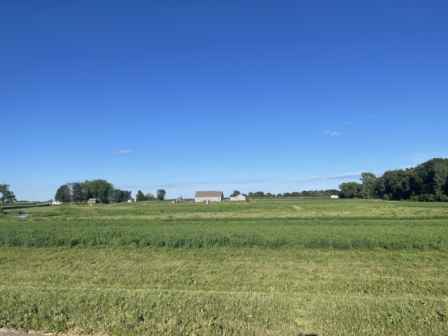 4096 East 1769th Road Leland, IL 60531 - Photo 3 of 4 a view of a grassy field with trees