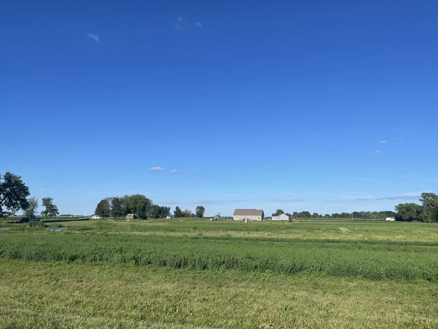 4096 East 1769th Road Leland, IL 60531 - Photo 4 of 4 a view of a field with grassy field and trees
