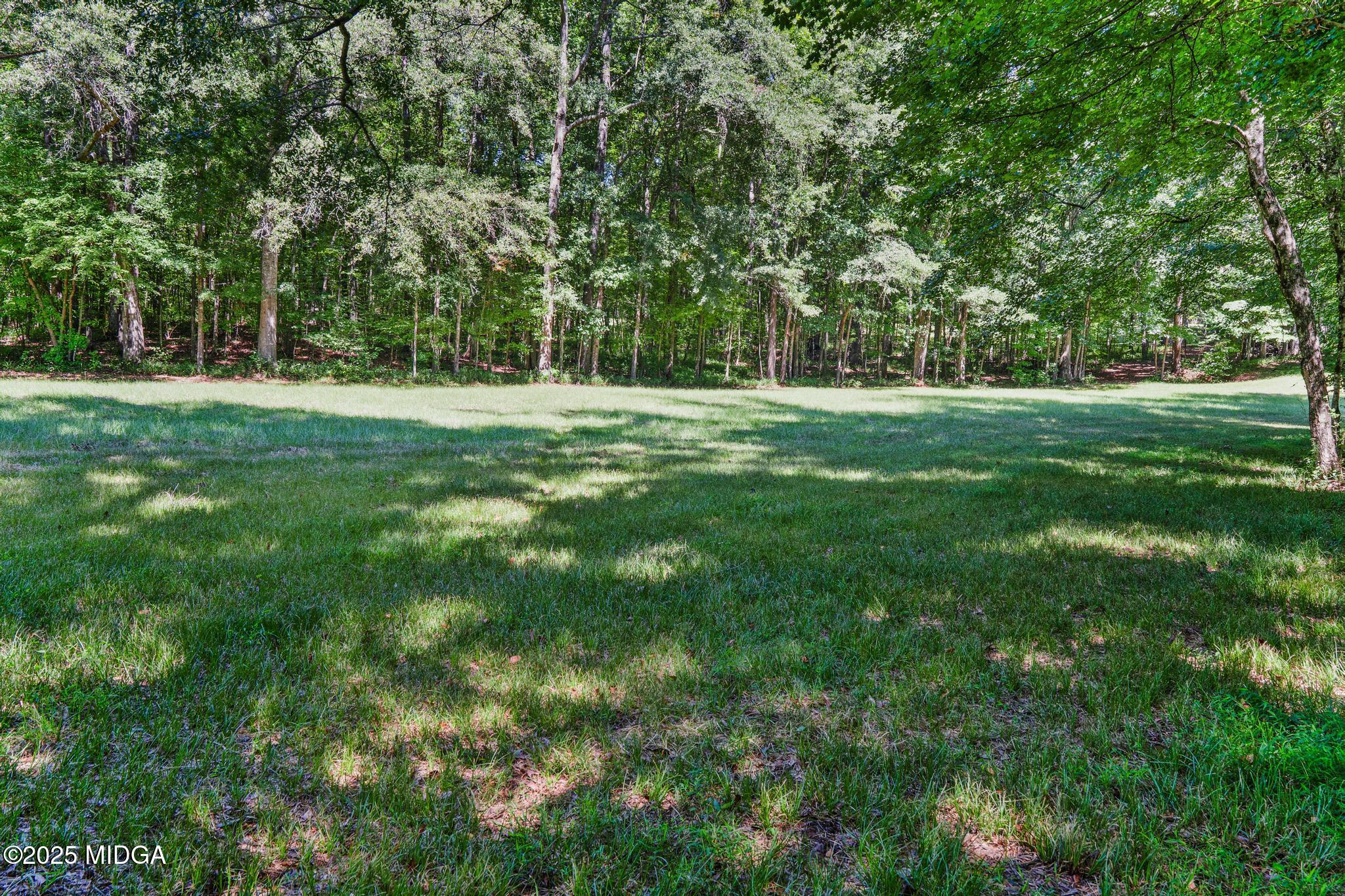 369 Abares Road Forsyth, GA 31029 - Photo 49 of 55 DSC09897