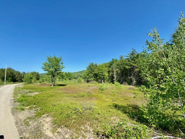 0 Brownfield Road Hiram, ME 04041 - Photo 10 of 19