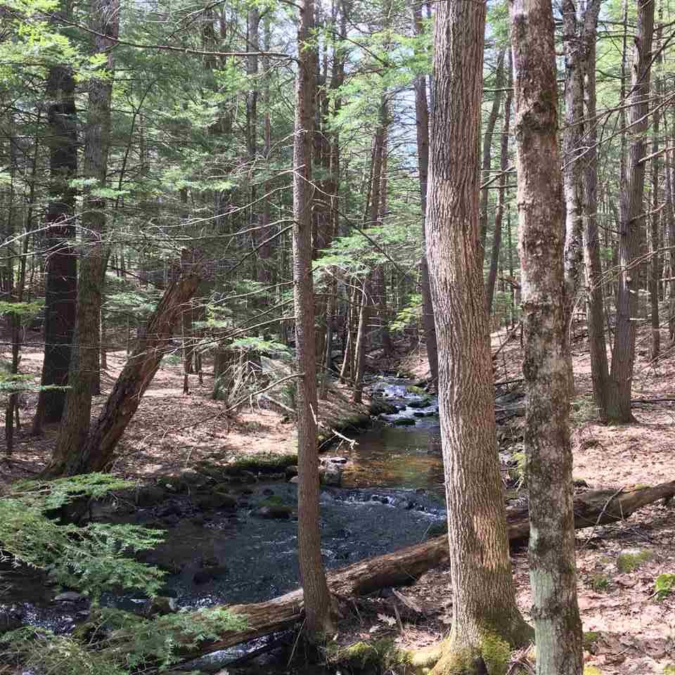 236-10 Deering Center Road Deering, NH 03244 - Photo 3 of 12 Gallery Image 3