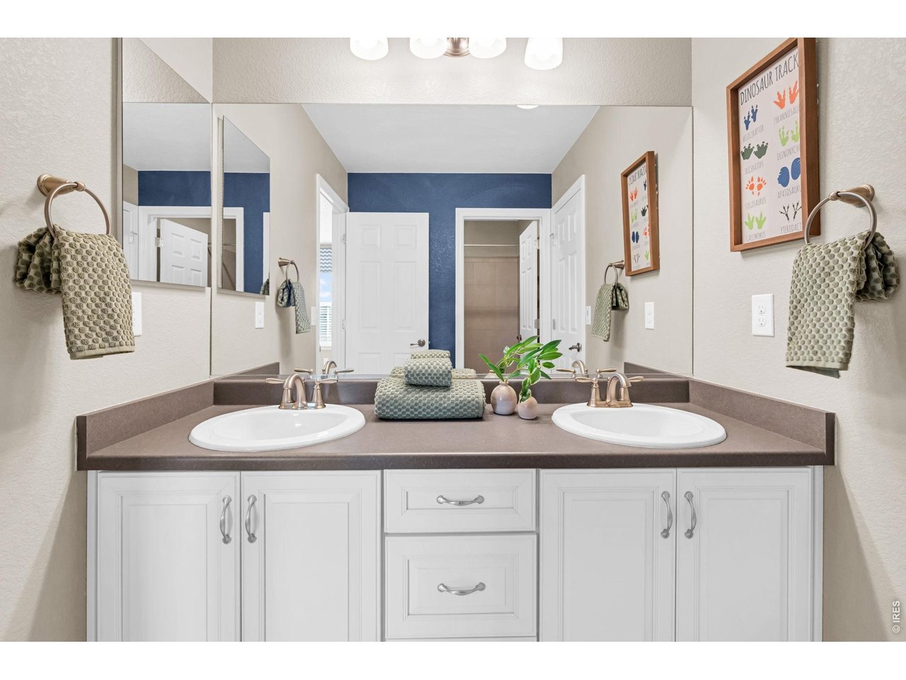 6028 Moran Road Timnath, CO 80547 - Photo 25 of 49 a bathroom with a sink and a mirror