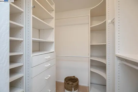 a view of yard with tree s