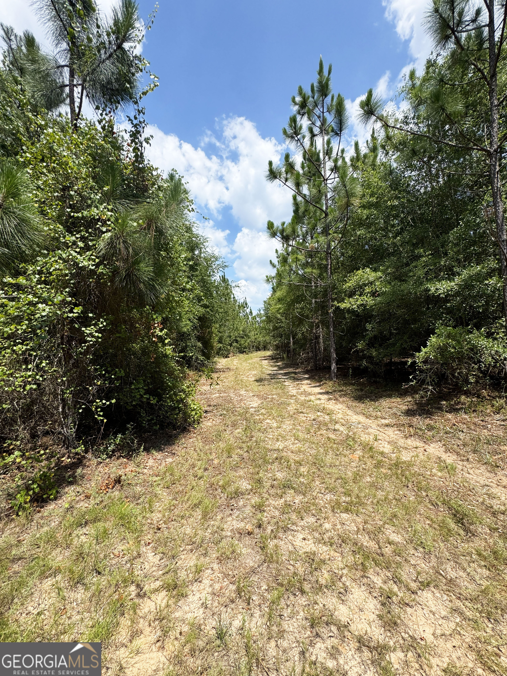 Tbd Tbd Wooten Road Cuthbert, GA 39840 - Photo 36 of 71