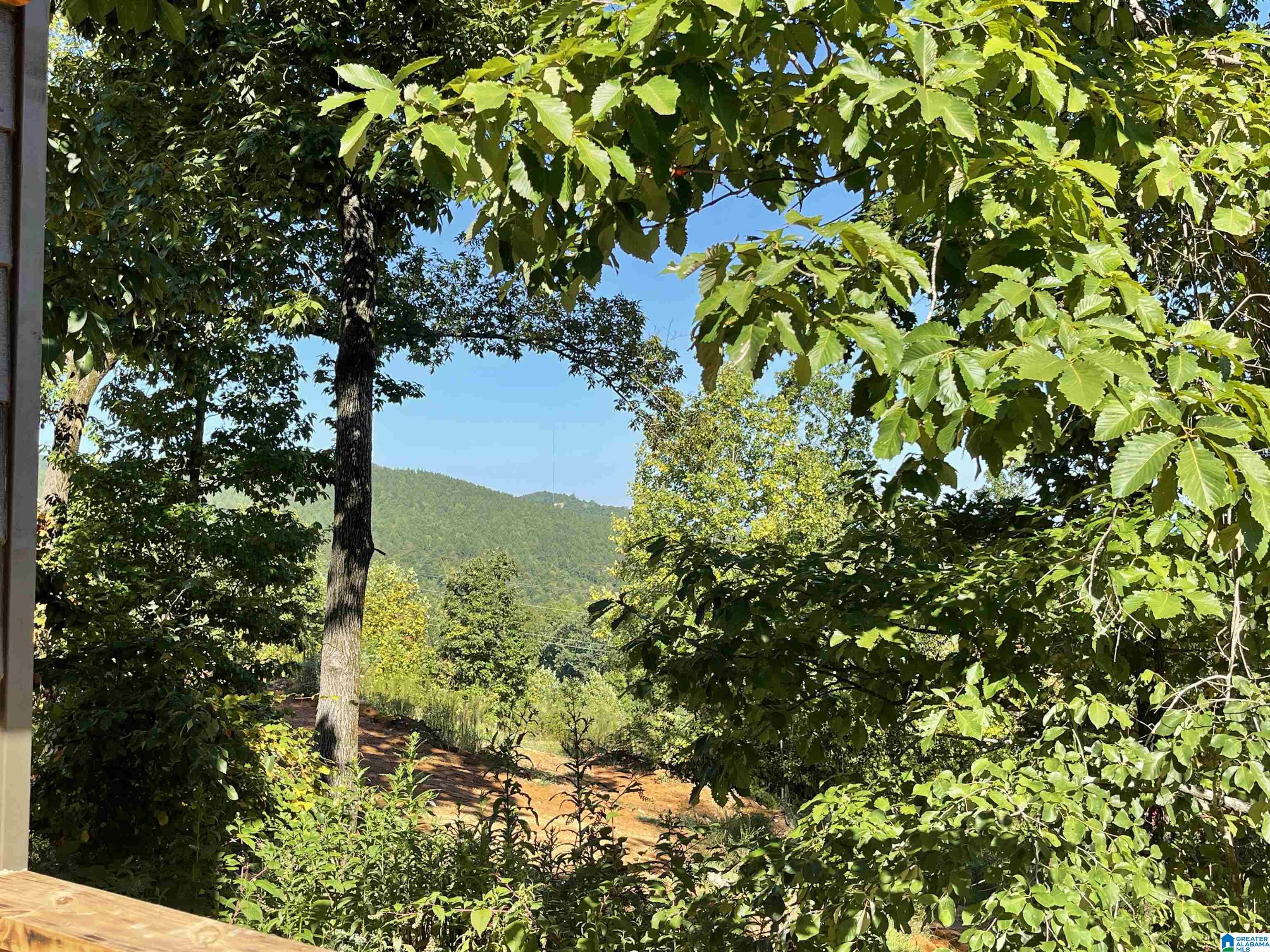 0 Benefield Gap Road Piedmont, AL 36272 - Photo 22 of 24