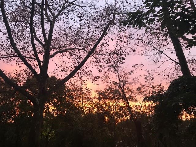 448 Olympia Road Pittsburgh, PA 15211 - Photo 10 of 19 Picturesque sunsets