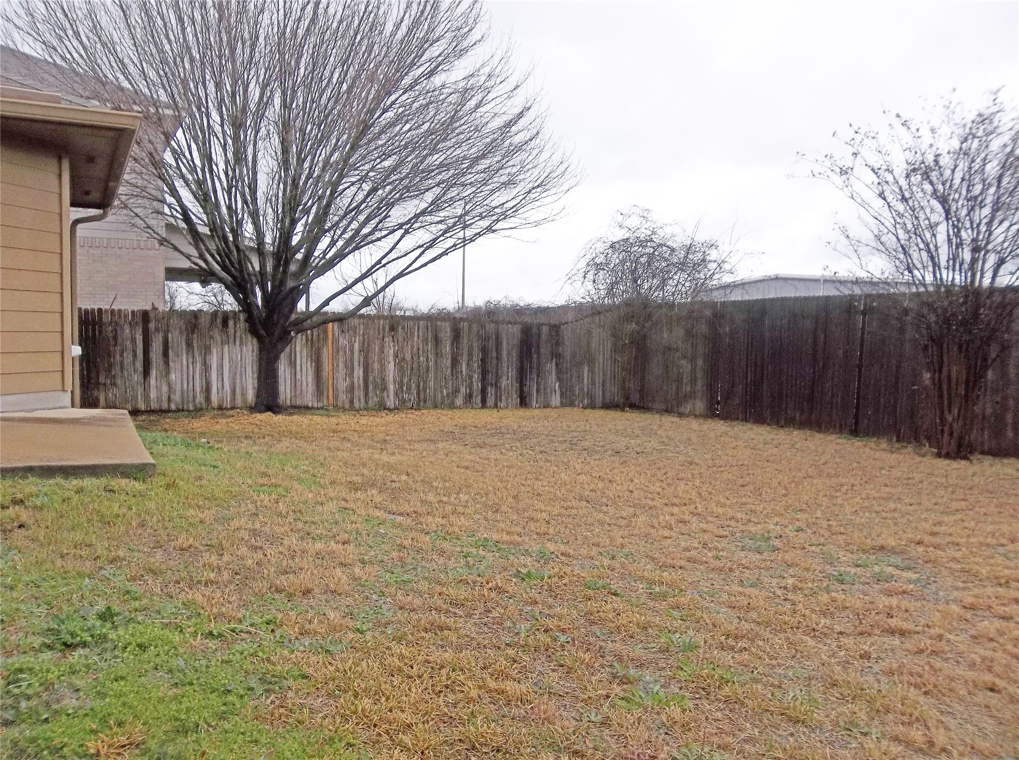 110 Fossil Trail Leander, TX 78641 - Photo 20 of 21 a view of backyard of a house