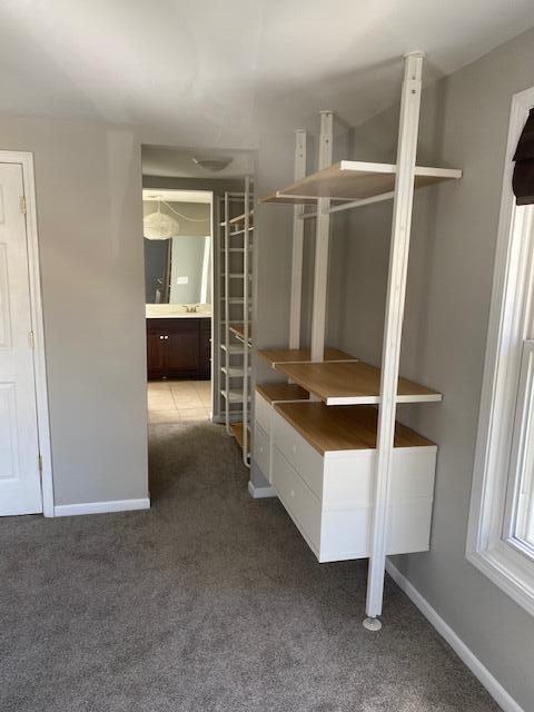 143 Lincoln Street Chelsea, MI 48118 - Photo 14 of 27 IMG_8835