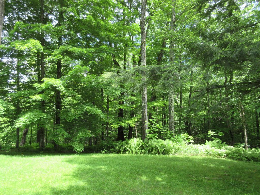 15 Highland View Road Weston, VT 05161 - Photo 32 of 35