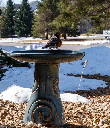 $675,000 | 15053 Uplander Street Northwest, Andover, MN 55304