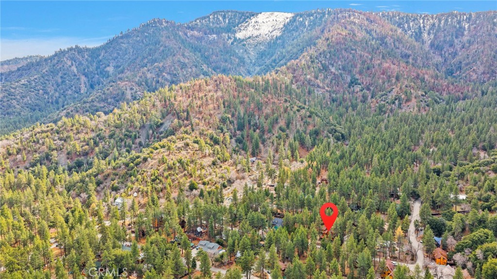 985 Pheasant Road Wrightwood, CA 92397 - Photo 56 of 61