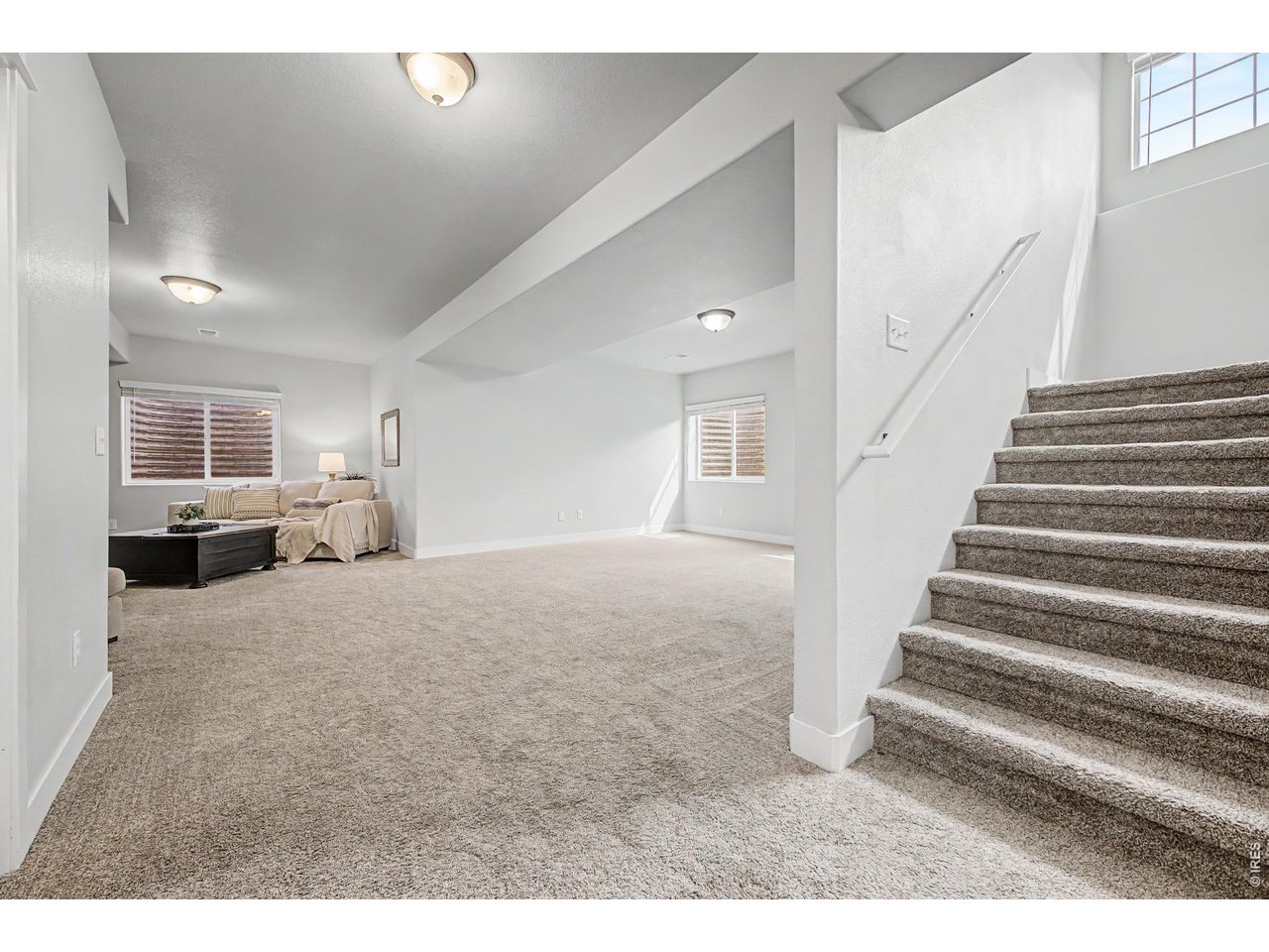 2069 Day Spring Drive Windsor, CO 80550 - Photo 24 of 47 Fully finished basement offering flexible additional living space