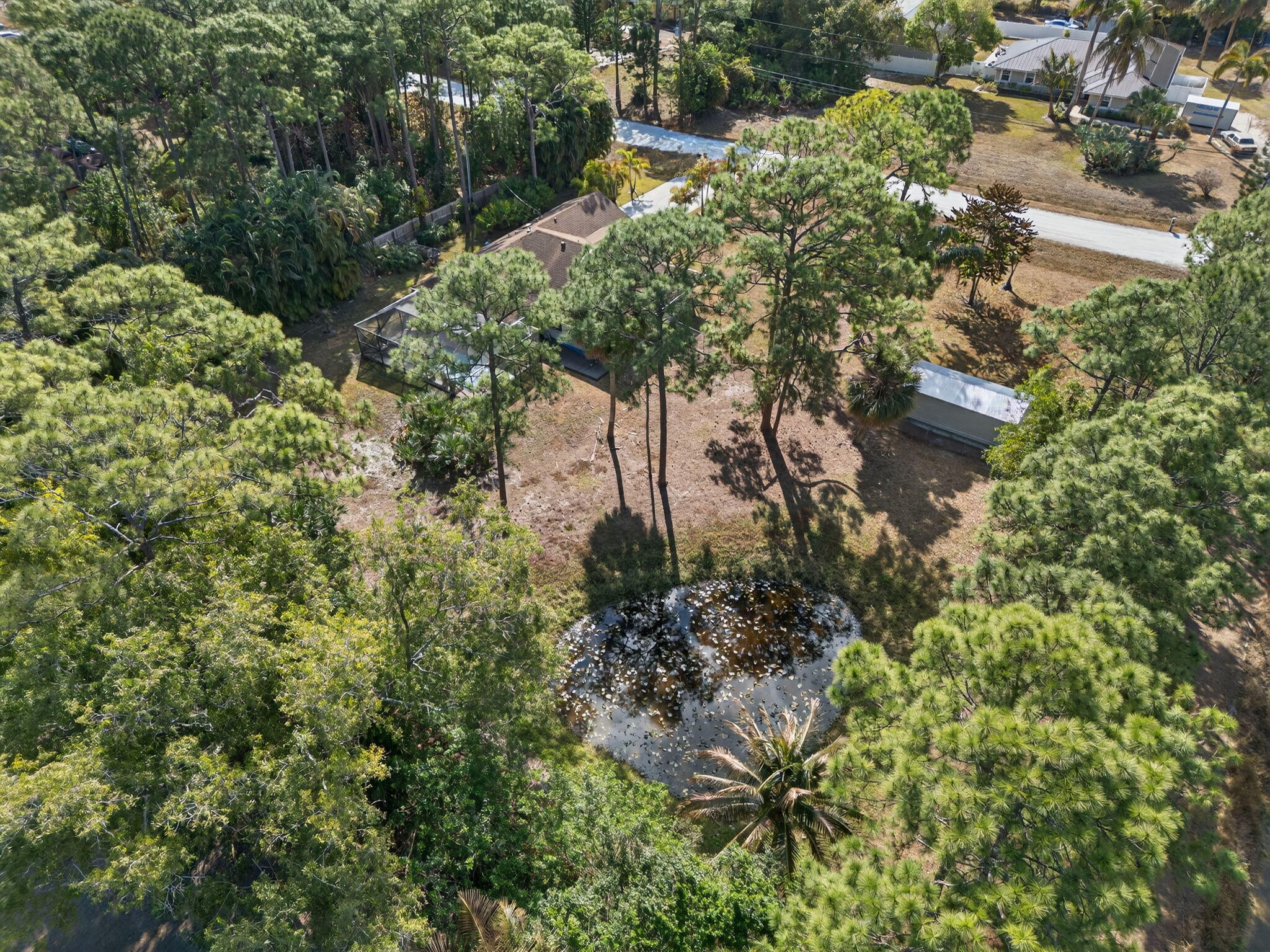 14241 76th Road North The Acreage, FL 33470 - Photo 72 of 73 72-web-or-mls-DJI_20260210104323_0267_D