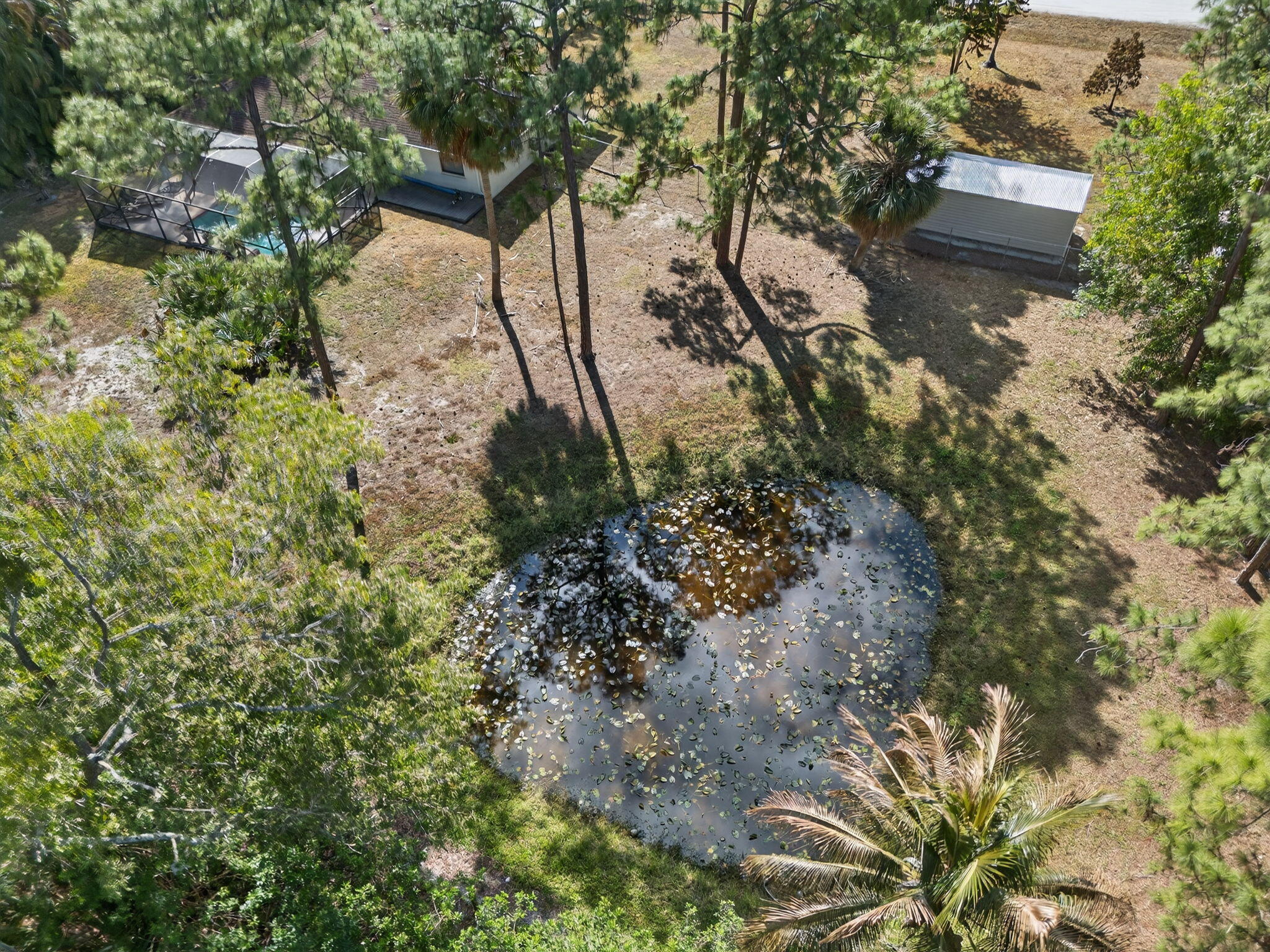 14241 76th Road North The Acreage, FL 33470 - Photo 73 of 73 73-web-or-mls-DJI_20260210104334_0269_D