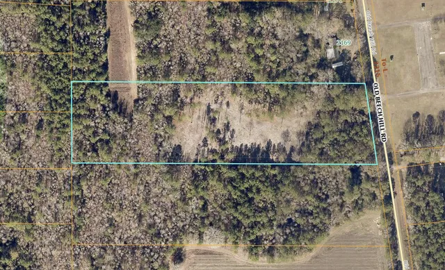 $190,000 | 0 Old Beech Hill Road, Ridgeville, SC 29472