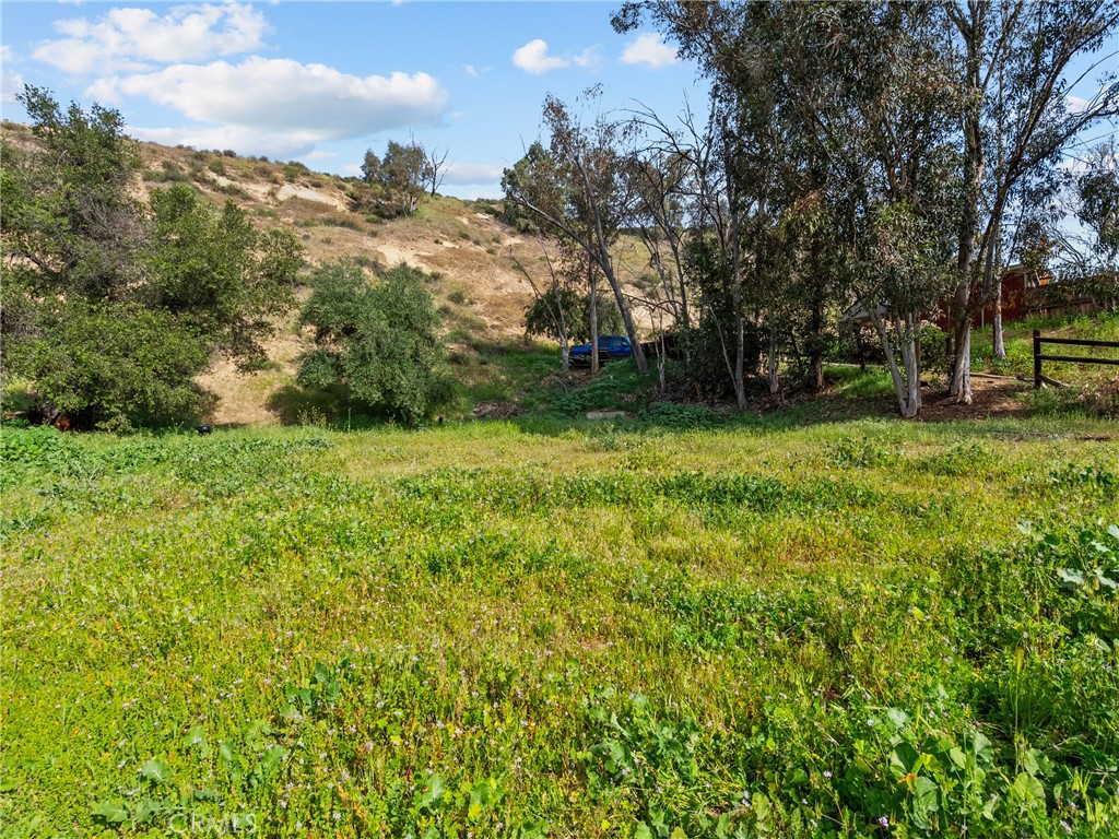 0 Cottage Grove Drive Castaic, CA 91384 - Photo 5 of 10 a view of a garden with trees