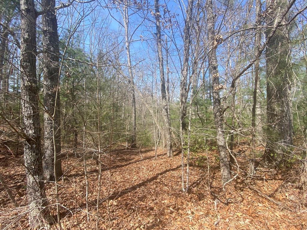 0 Hilltop Road Murphy, NC 28906 - Photo 3 of 16