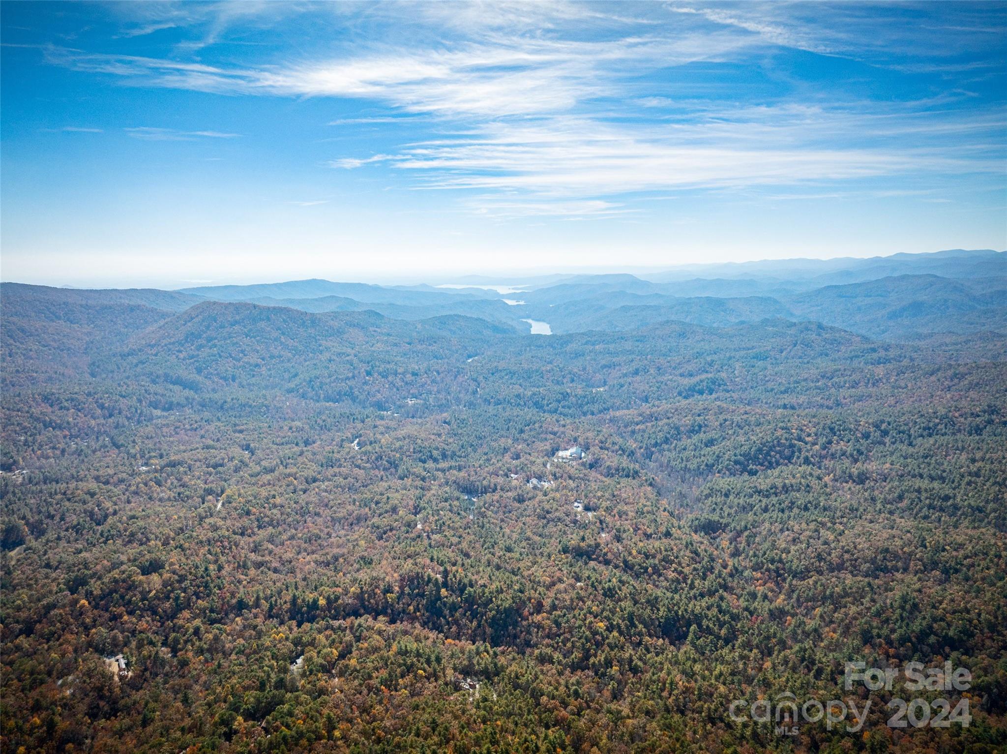 47 Ruffed Grouse Road Brevard, NC 28712 - Photo 11 of 48 a view of a big yard with plants and large trees