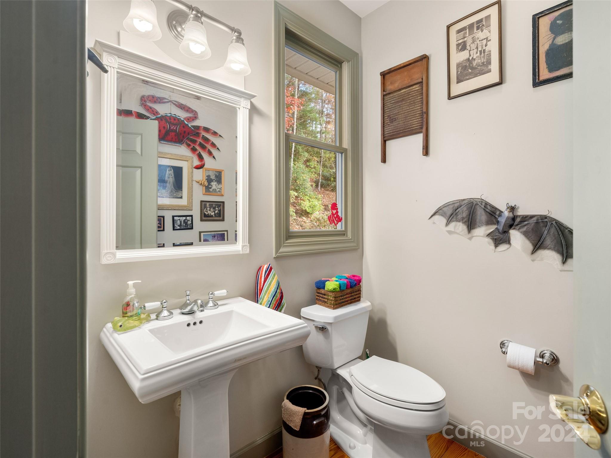 47 Ruffed Grouse Road Brevard, NC 28712 - Photo 31 of 48 a bathroom with a sink mirror and toilet