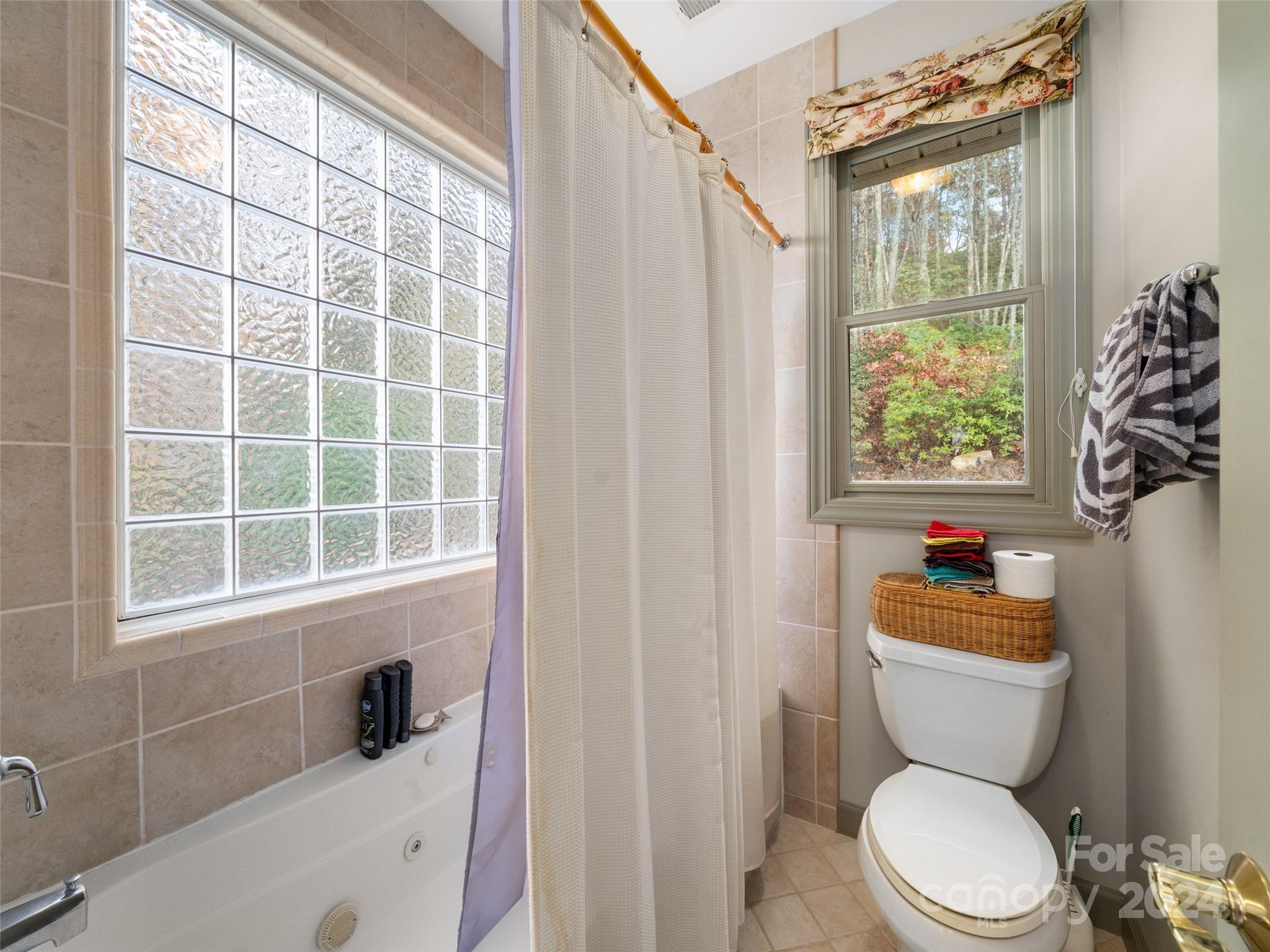 47 Ruffed Grouse Road Brevard, NC 28712 - Photo 48 of 48 a white toilet sitting next to a bathroom sink