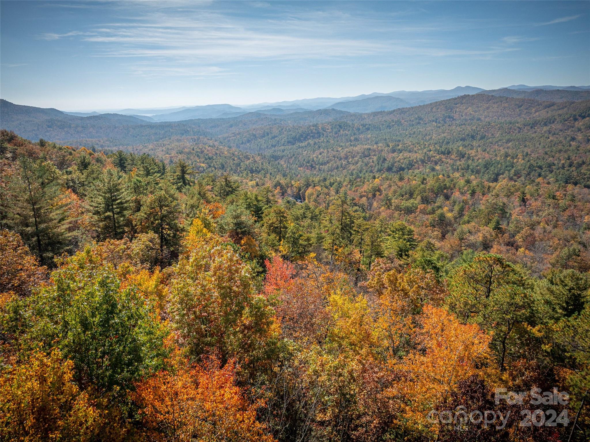 47 Ruffed Grouse Road Brevard, NC 28712 - Photo 9 of 48 a view of city and mountain