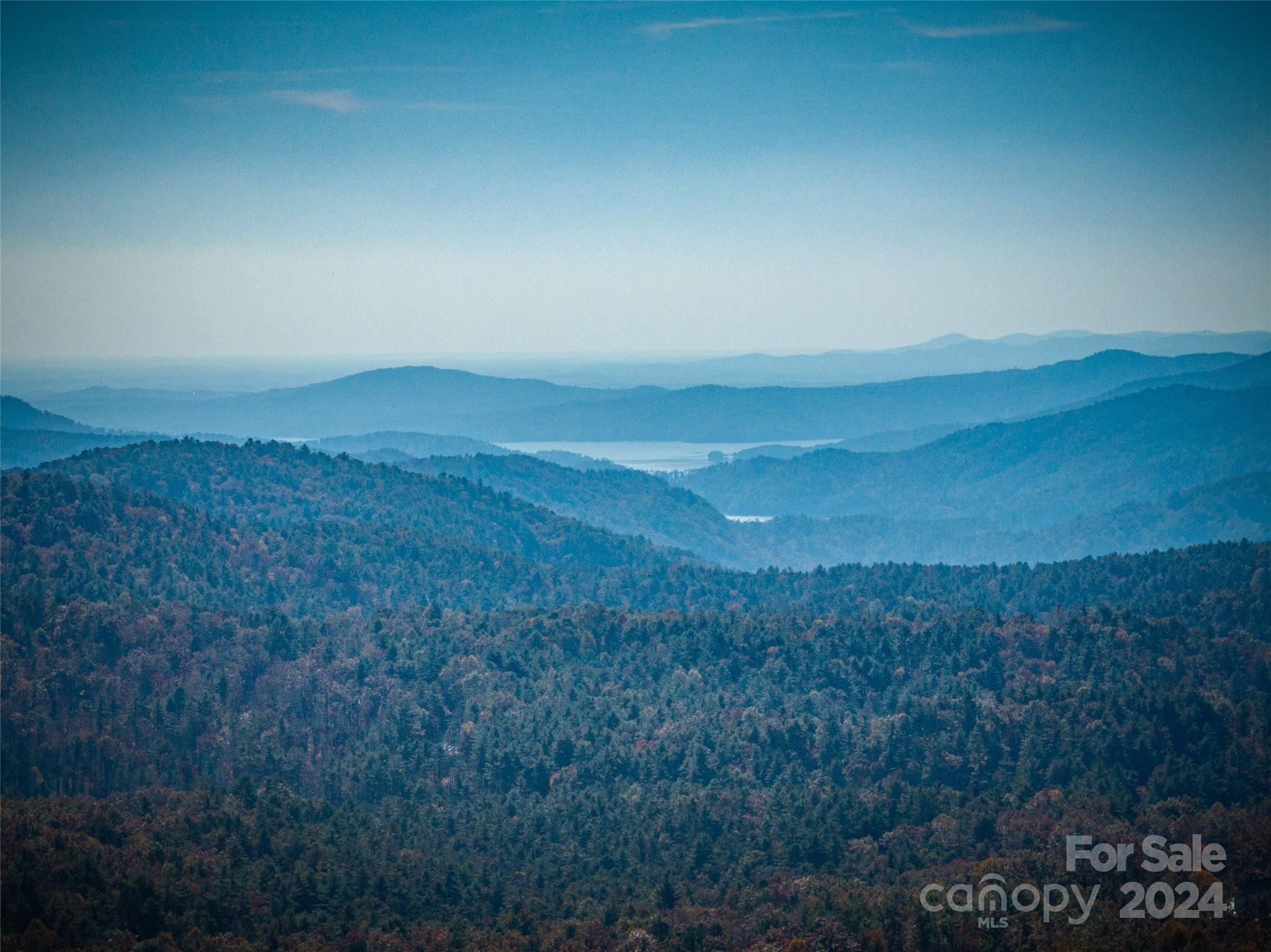 47 Ruffed Grouse Road Brevard, NC 28712 - Photo 10 of 48 a view of a big yard