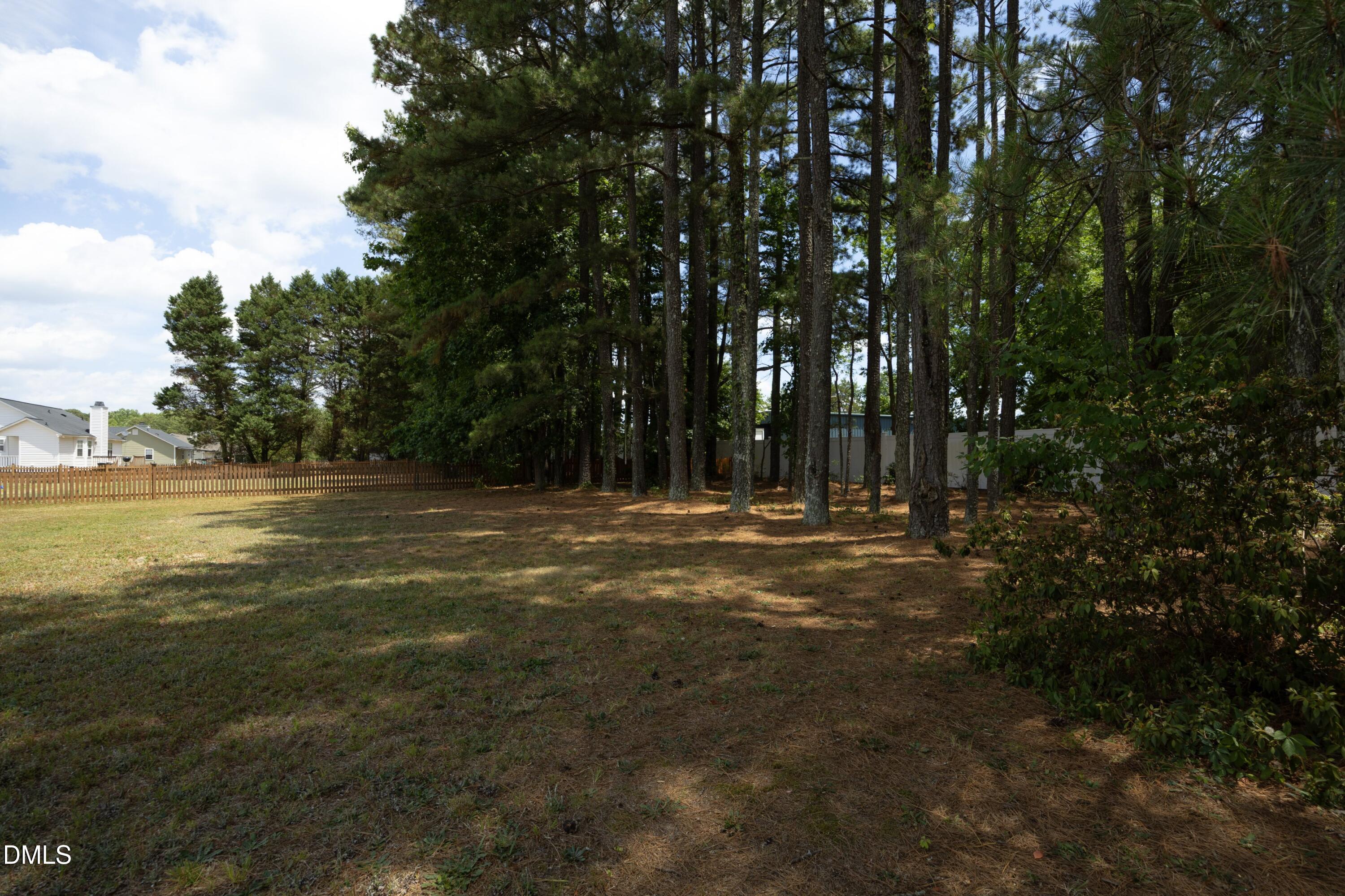 1625 Tall Cane Circle Willow Spring, NC 27592 - Photo 37 of 39
