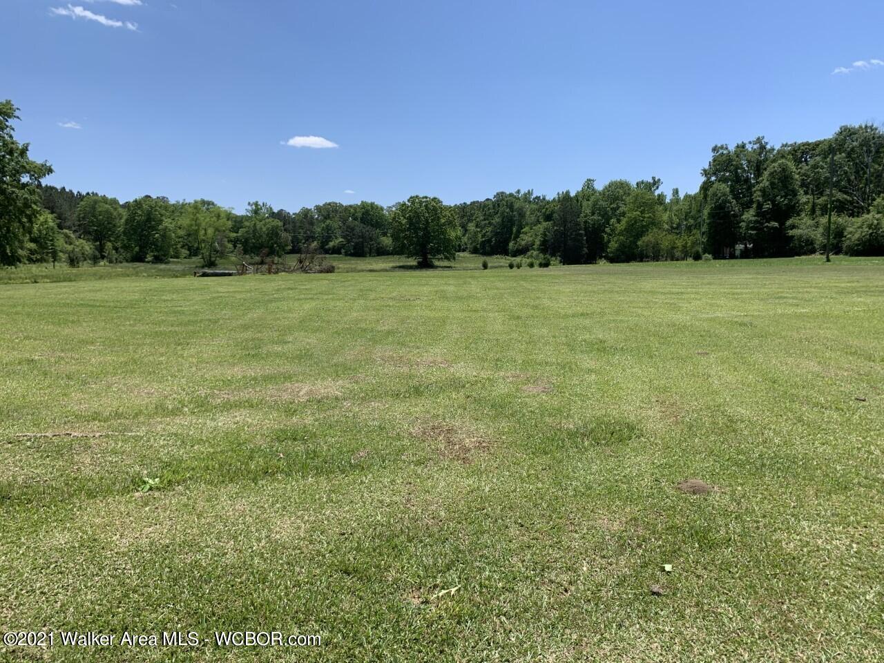 1000 East Ridgewood Road Jasper, AL 35504 - Photo 1 of 21 Gallery Image 1