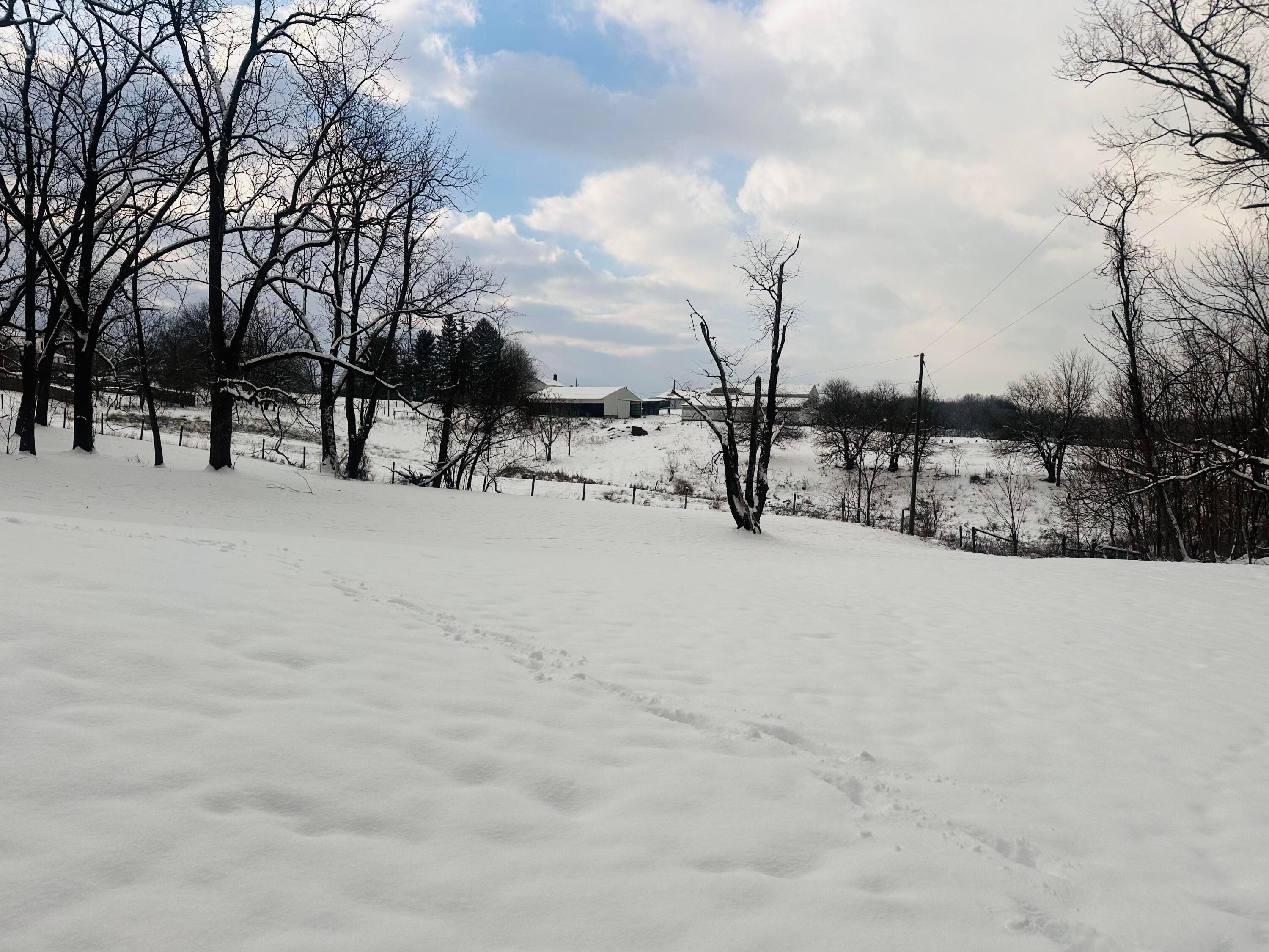 5330 Cemetery Road Mount Perry, OH 43760 - Photo 22 of 22 Backyard