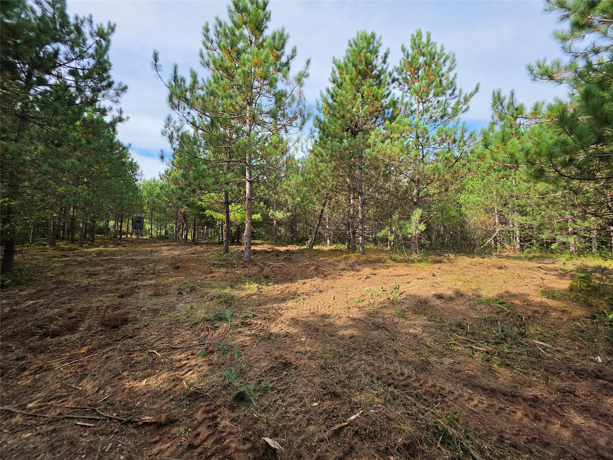 20-acres Adams Road Bruce, WI 54819 - Photo 23 of 27 Gallery Image 23