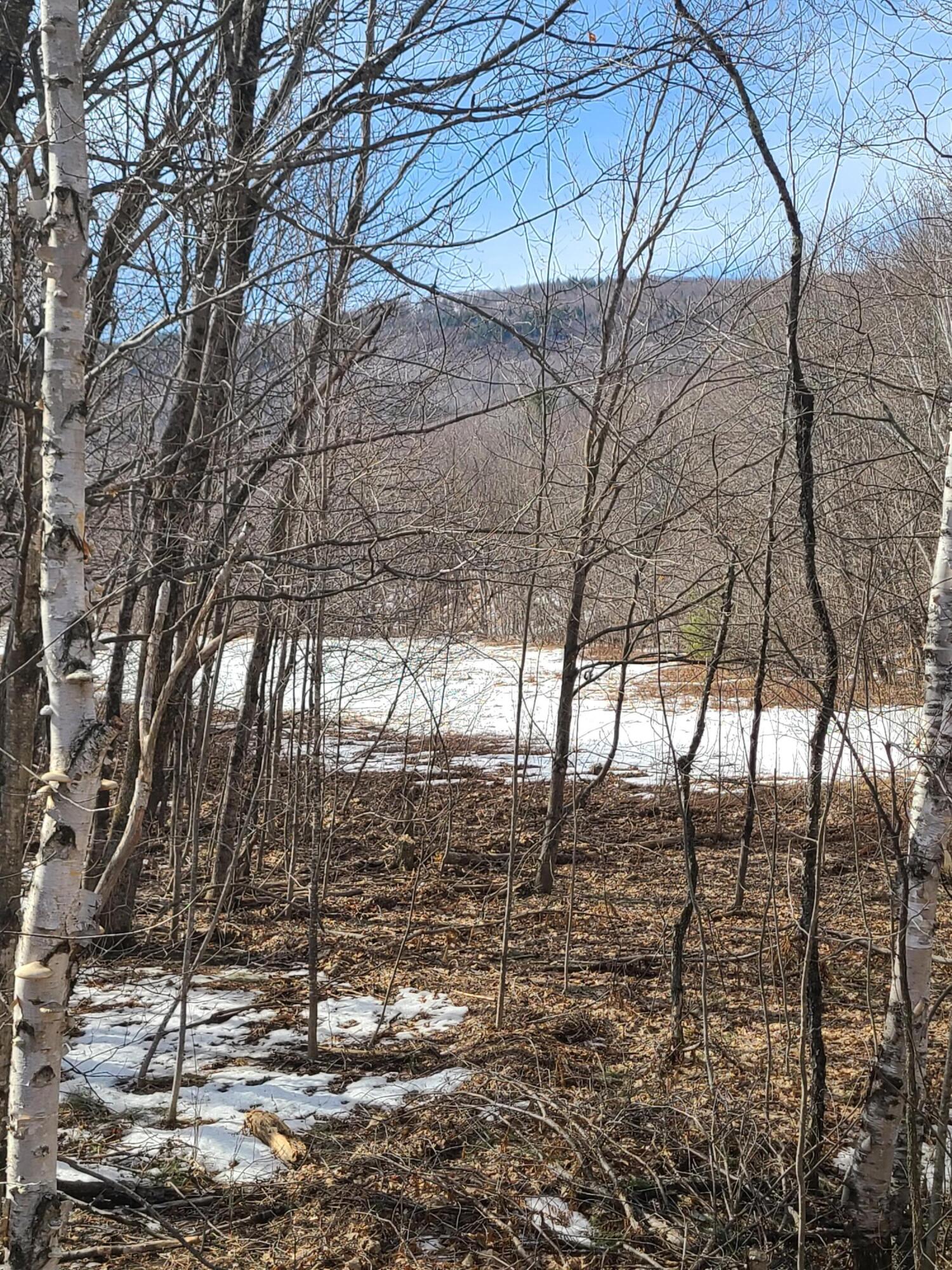 0 Frye Crossover Road Roxbury, ME 04275 - Photo 26 of 26 20210323_100636