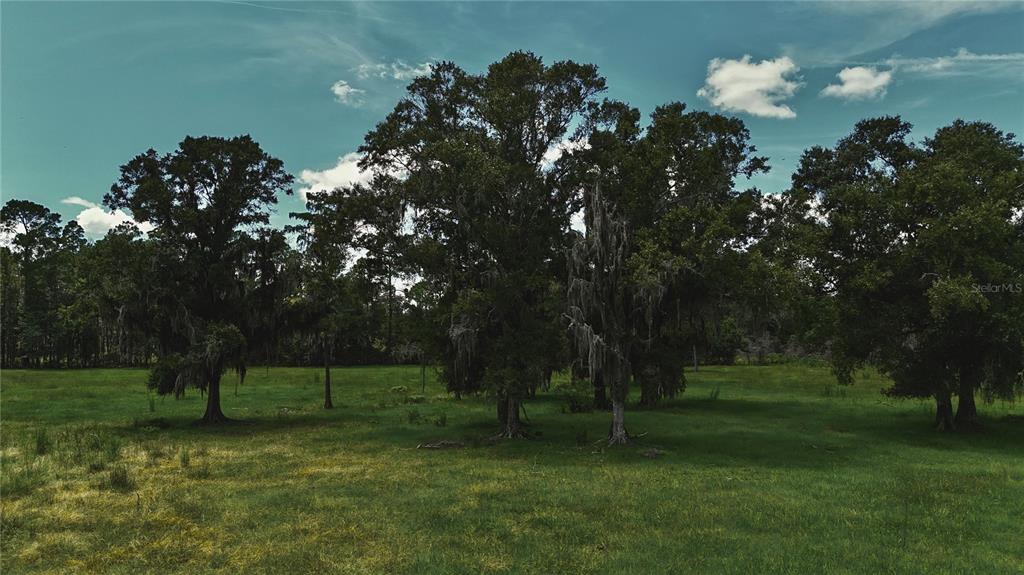 4802 Northwest 50th Road Starke, FL 32091 - Photo 37 of 75 Gallery Image 37