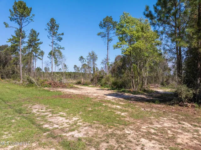 $104,900 | 16.27 Shirley Sanford Road, Seminary, MS 39479