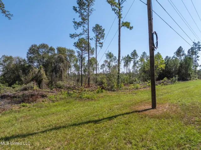 $104,900 | 16.27 Shirley Sanford Road, Seminary, MS 39479