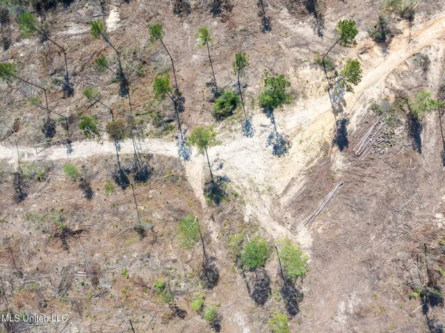 $104,900 | 16.27 Shirley Sanford Road, Seminary, MS 39479